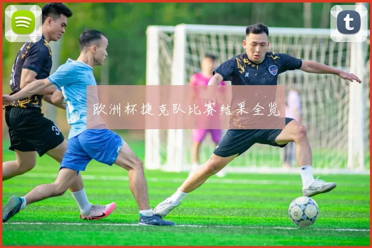 欧洲杯捷克队比赛结果全览