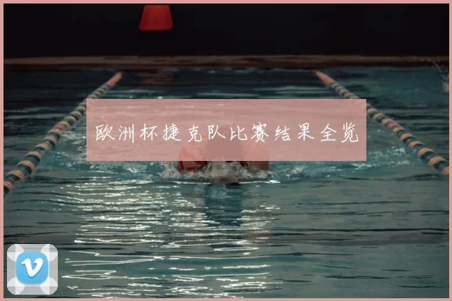 欧洲杯捷克队比赛结果全览