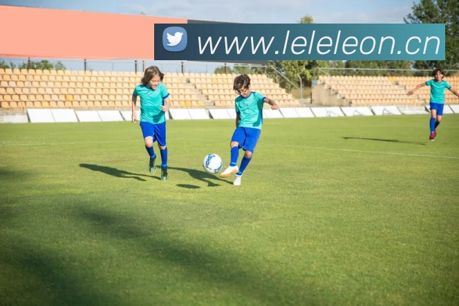 半岛网页版·网站入口 - 半岛online(中国)APP 高清赛事图